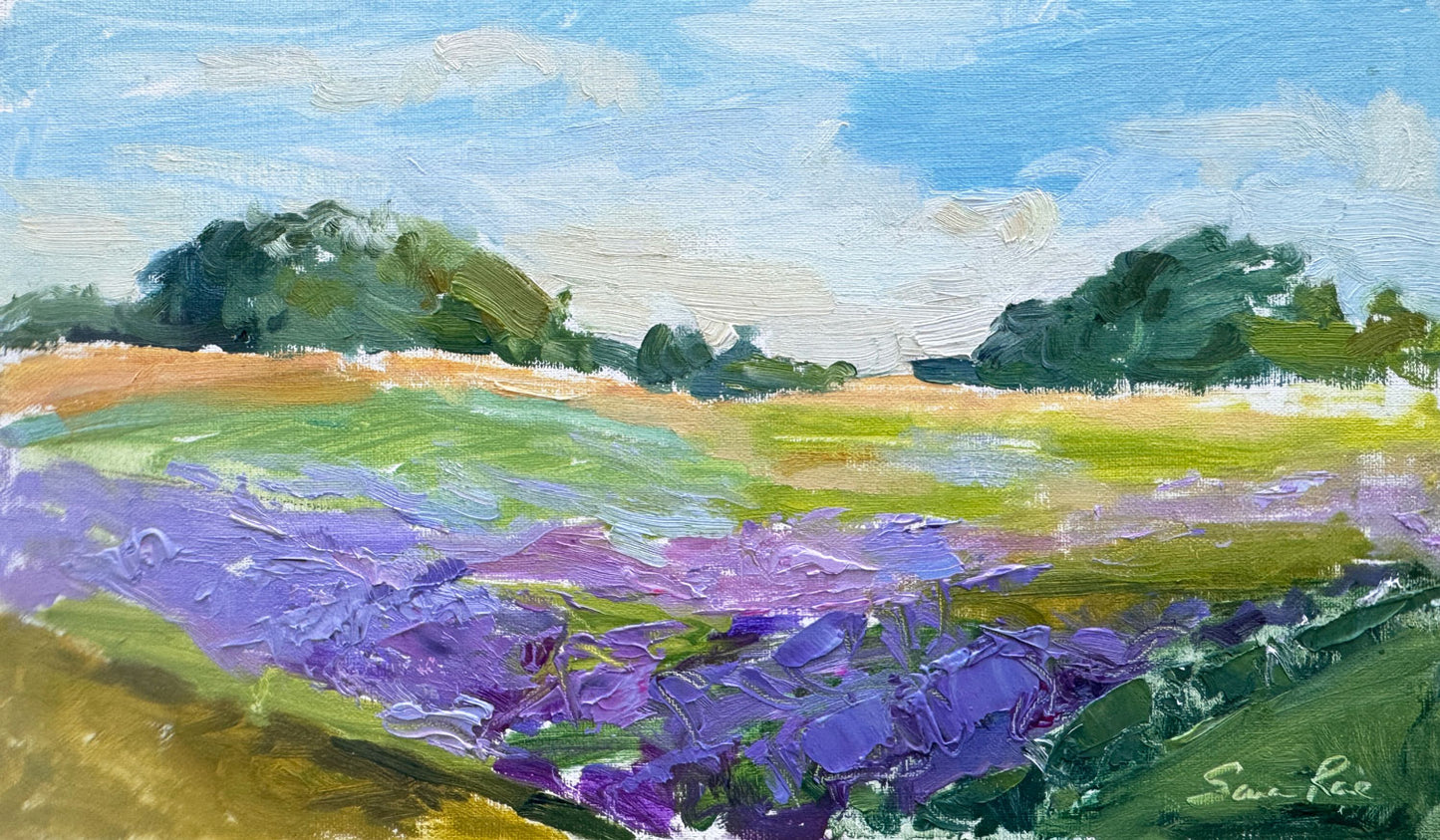 Among the Lavender