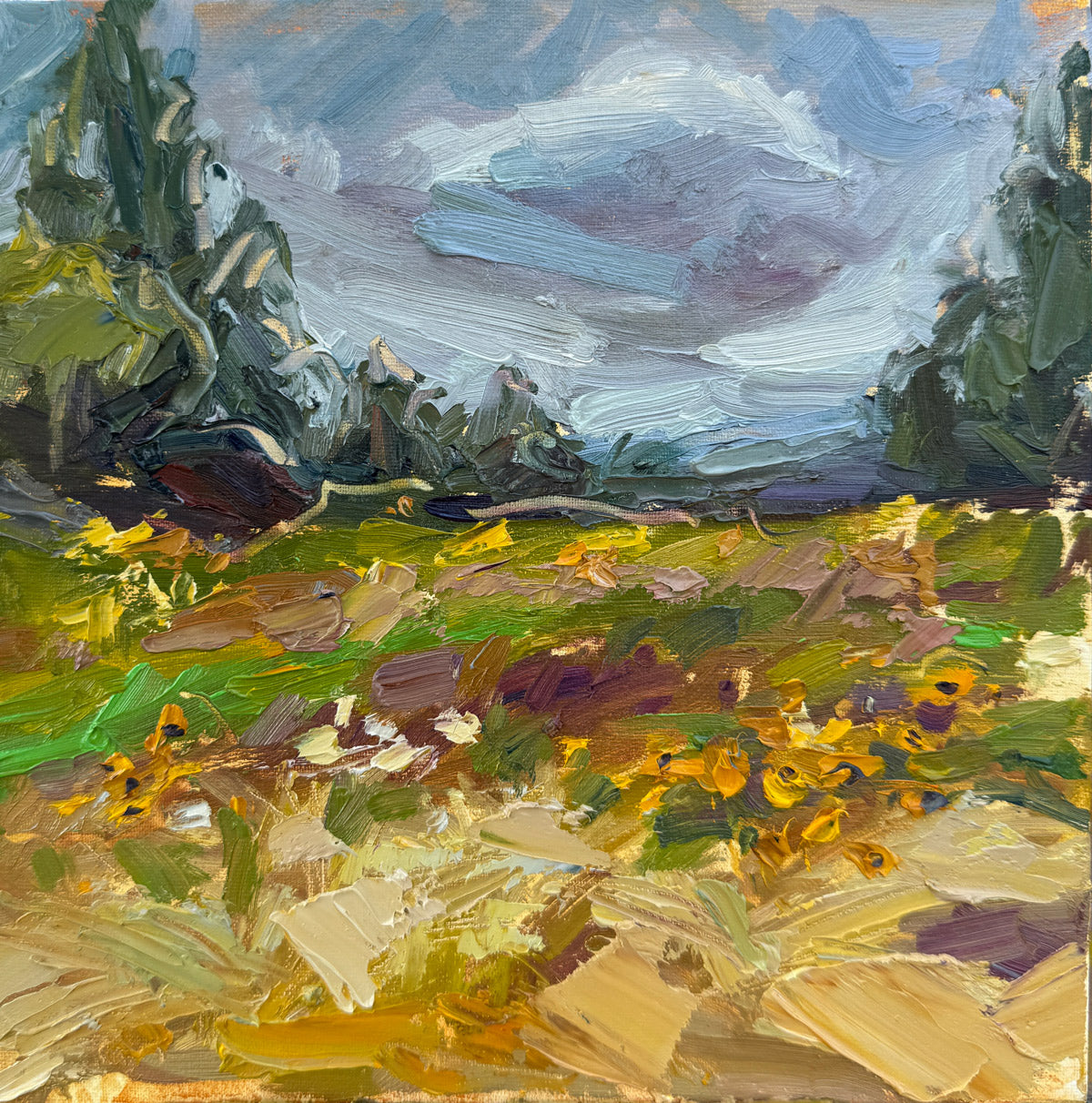 Fells Field