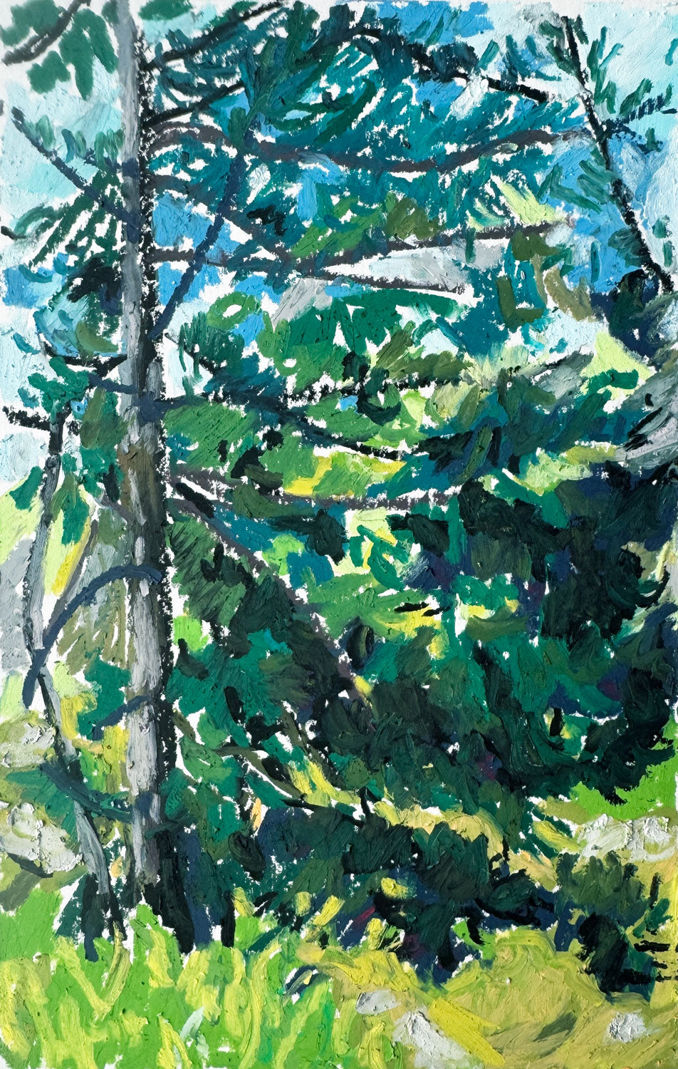 Great North Woods Pine