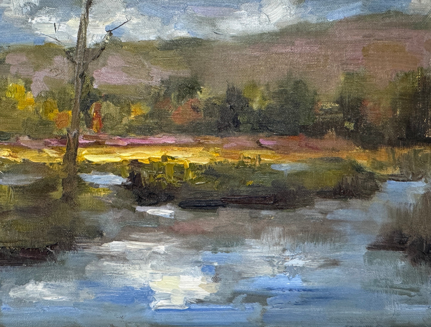 Golden Hues |2025| Oil on linen panel