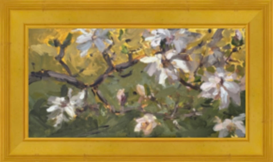 Magnolia in Golden Light |2025| oil on linen panel
