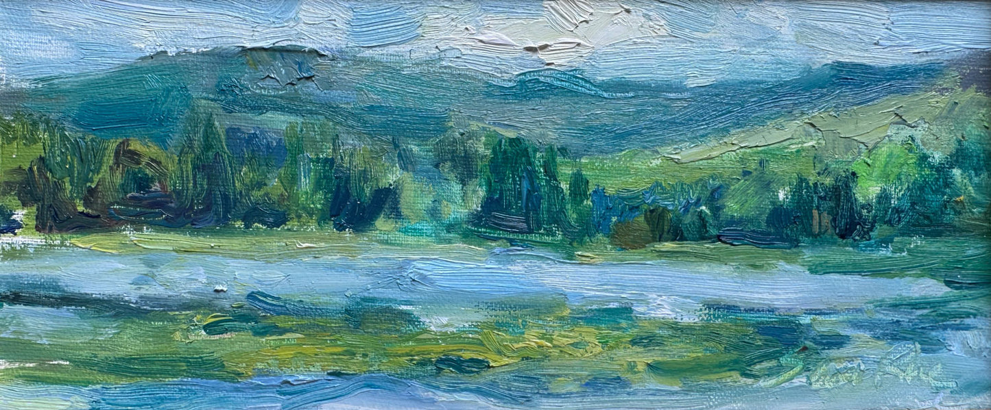 Lakeshore View