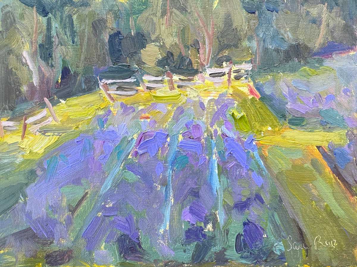 Lavender Fields
