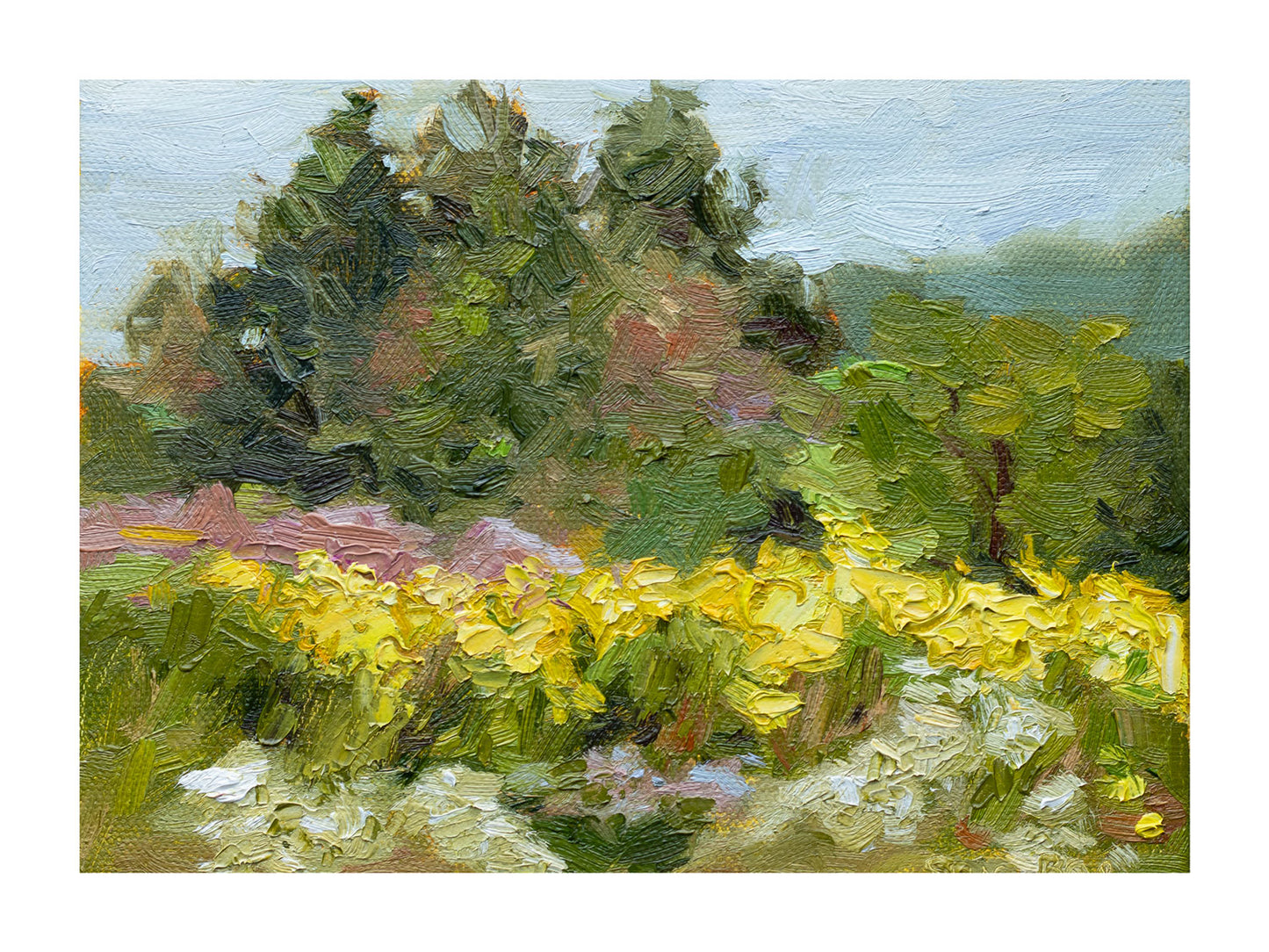 Field in Sutton |2024| Oil on canvas