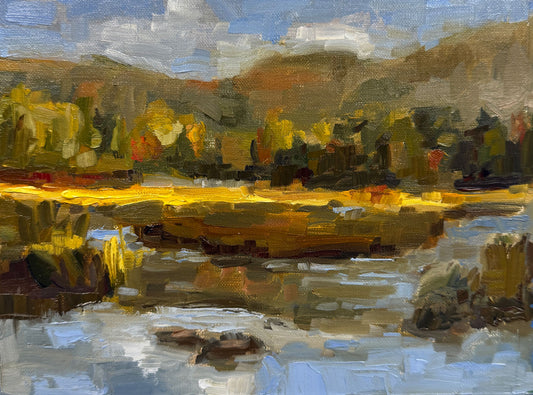 Wetland Tapestry |2025| Oil on linen panel