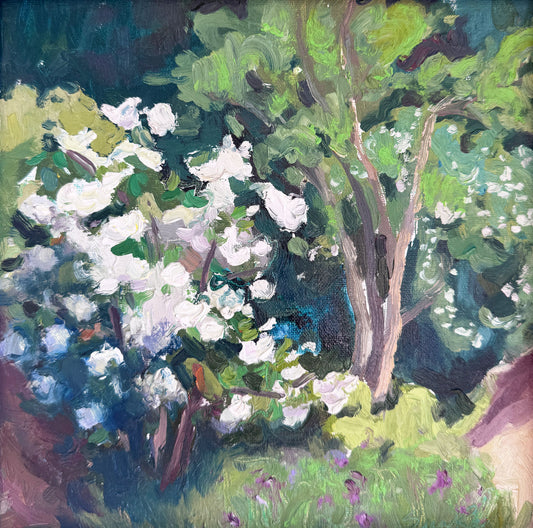Spring Trees