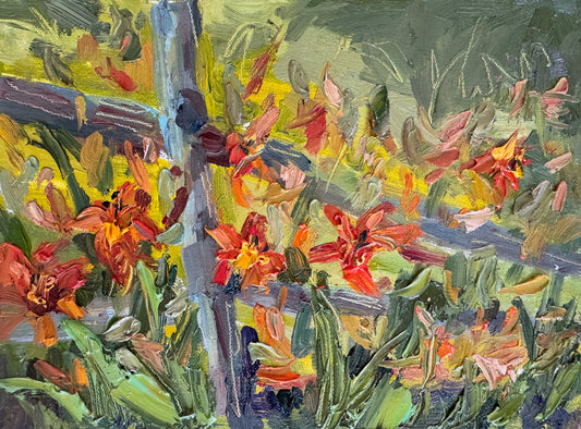 Daylilies at Pumpkin Blossom Farm