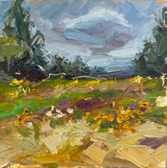 Fells Field