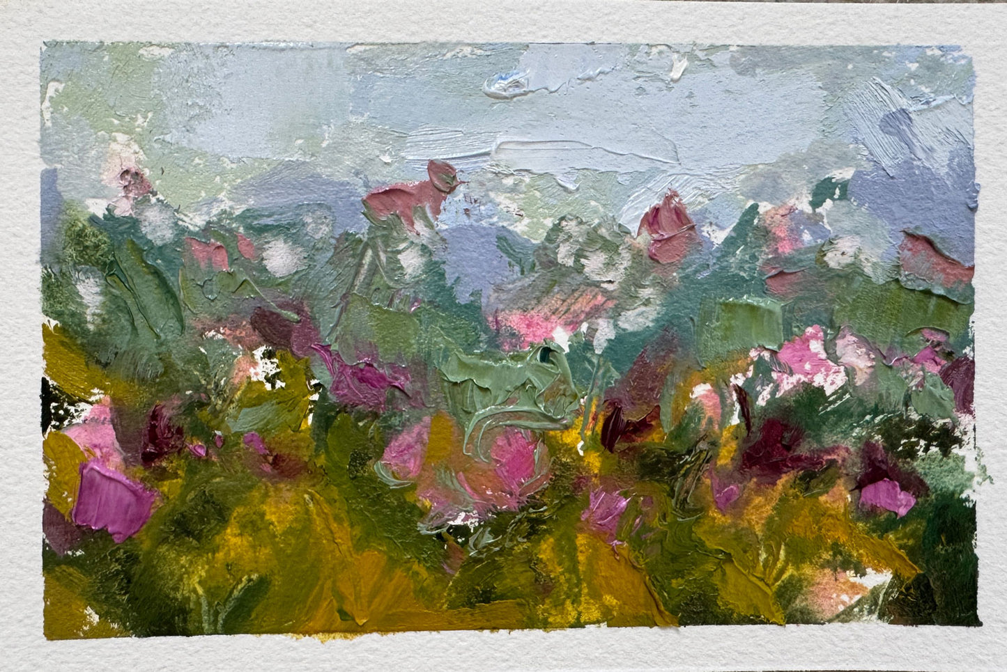 Field of Flowers