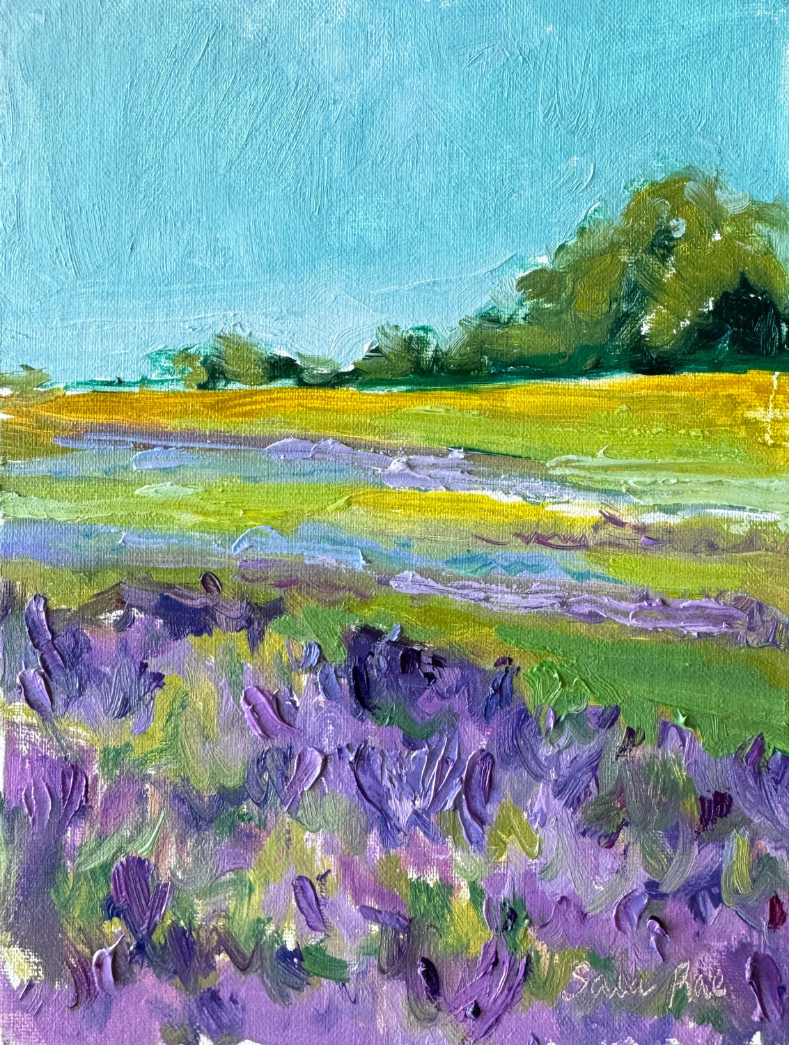 Fields of Lavender