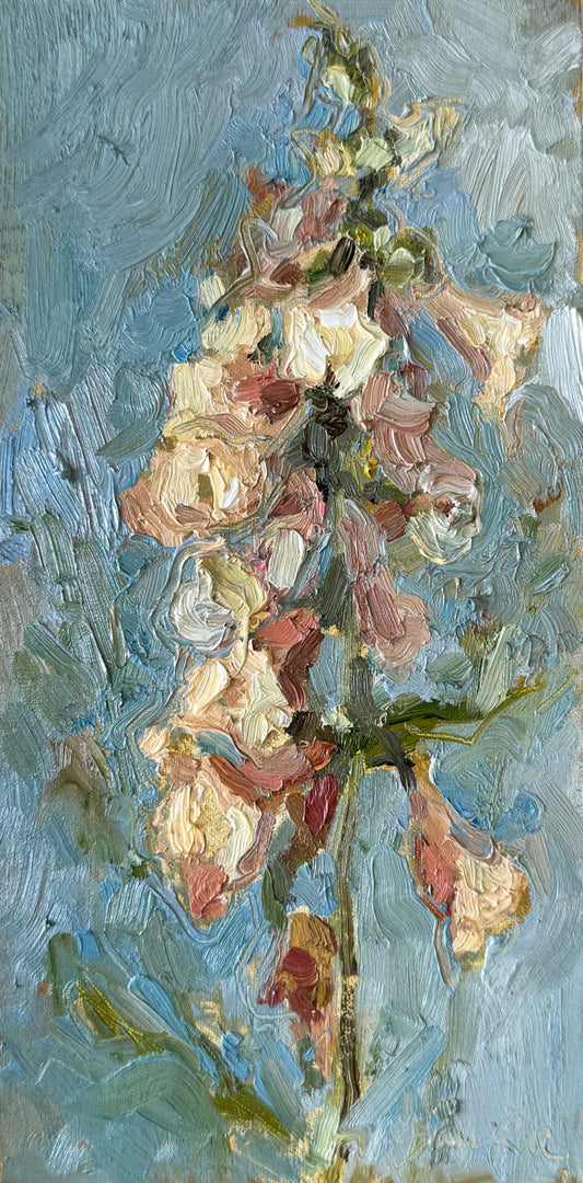 Foxglove on Blue |2025| oil on linen panel