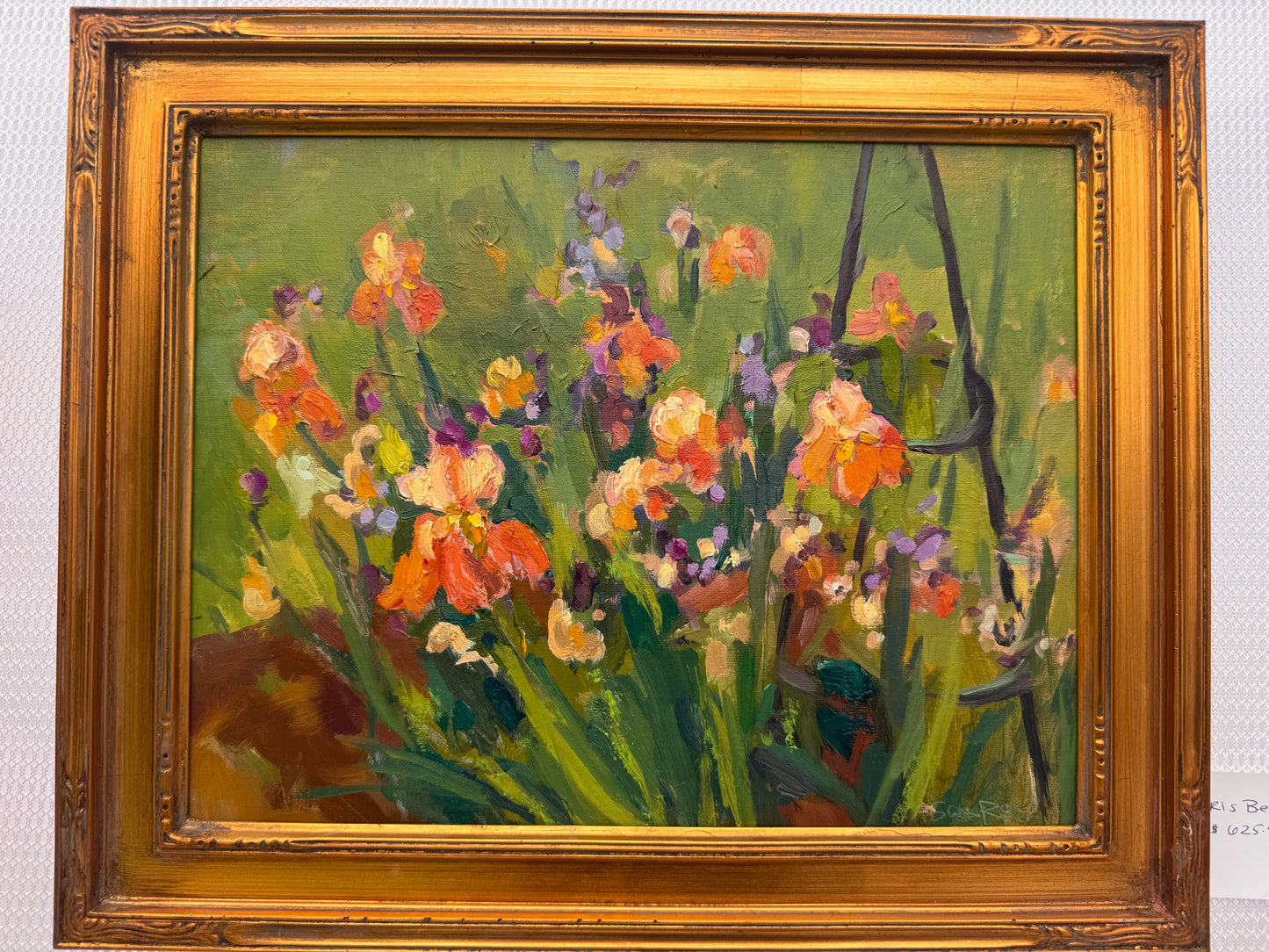 Iris Bed