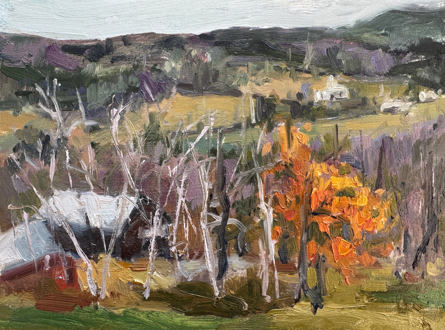 View from Pomfret, VT |2025| oil on panel