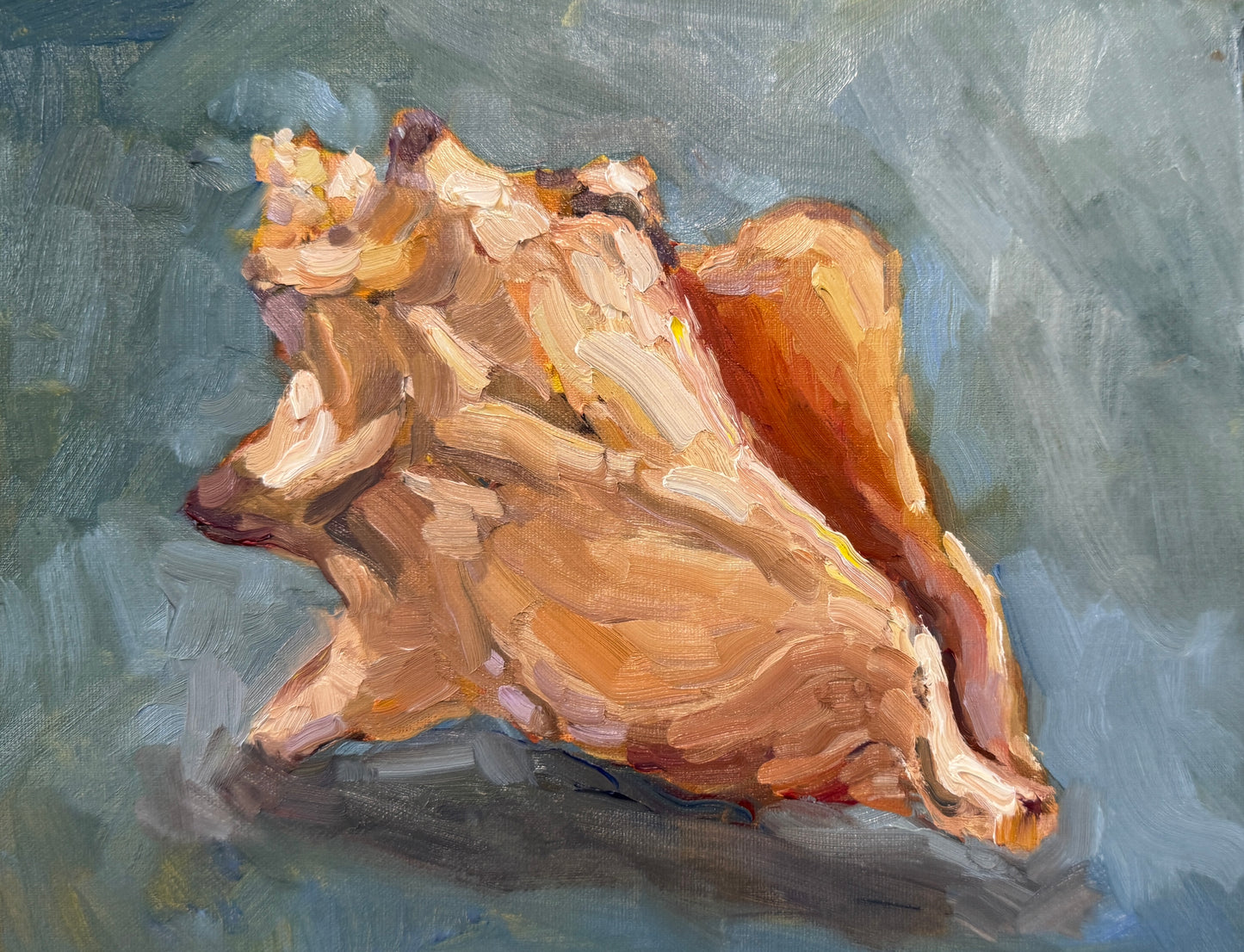 Giclee Print | Shell on Blue