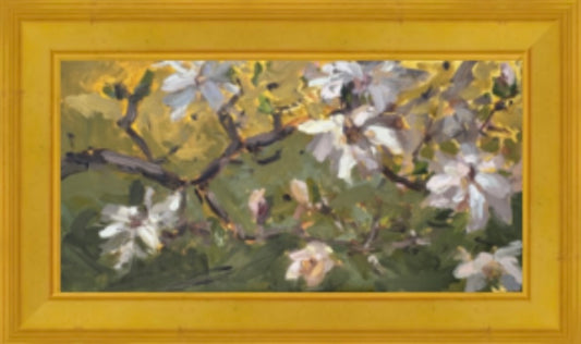 Magnolia in Golden Light |2025| oil on linen panel