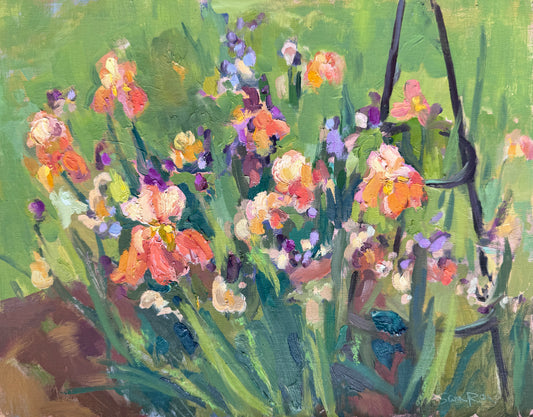 Iris Bed