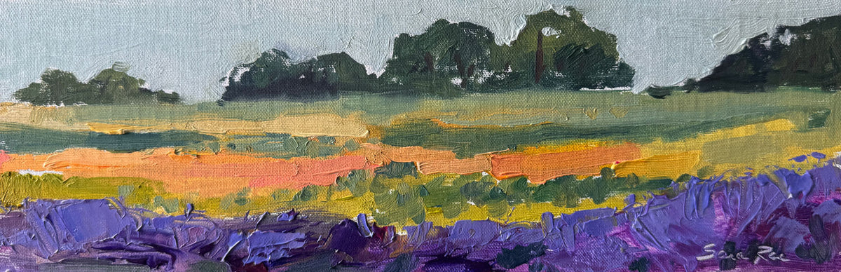 Lavender Rows