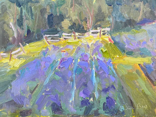 Lavender Fields