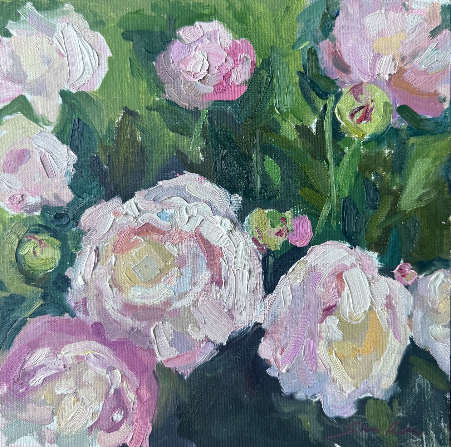 Morning Peonies
