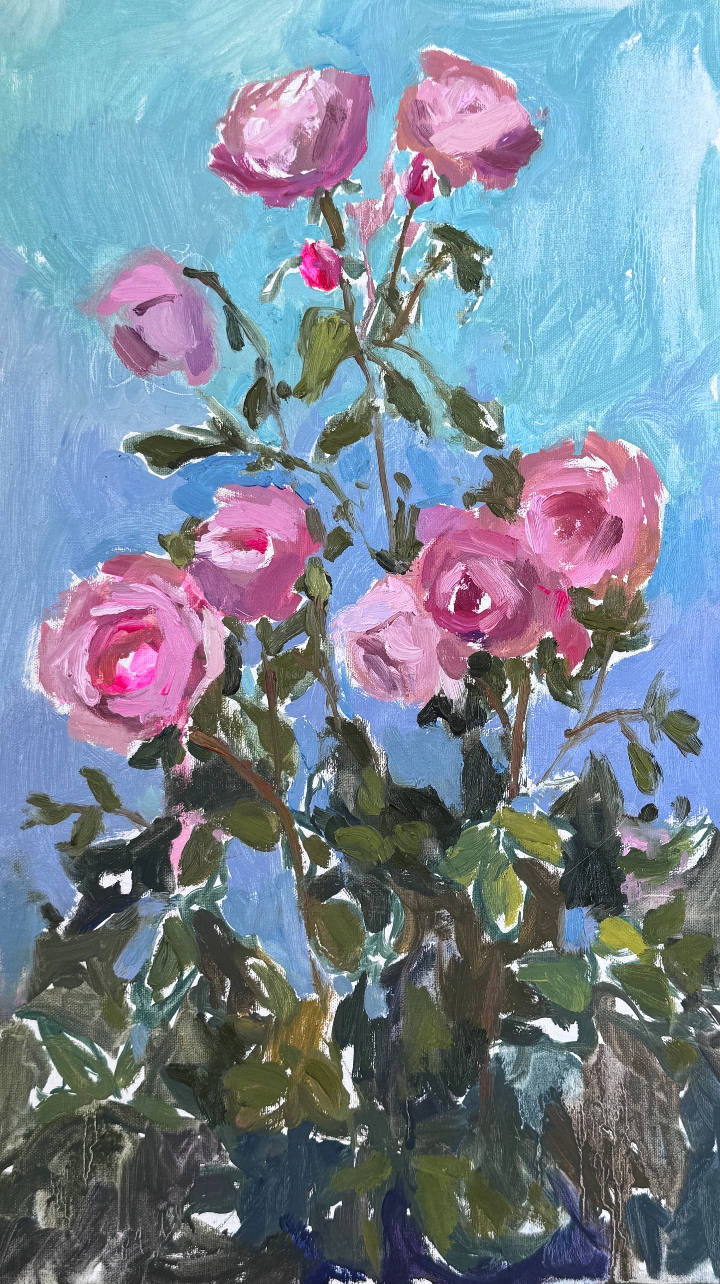 Pink Roses