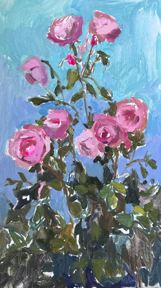 Pink Roses