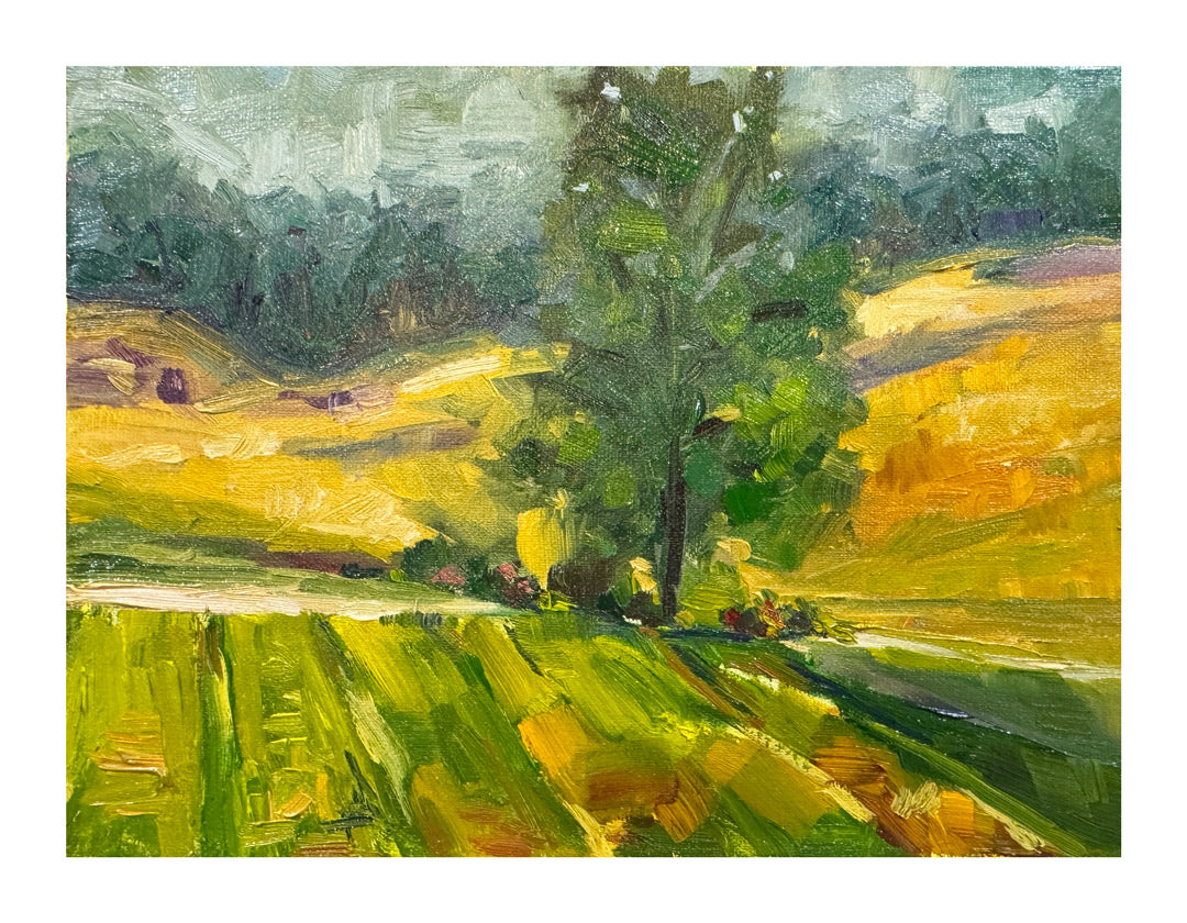Plainfield, NH |2024| Oil on linen panel