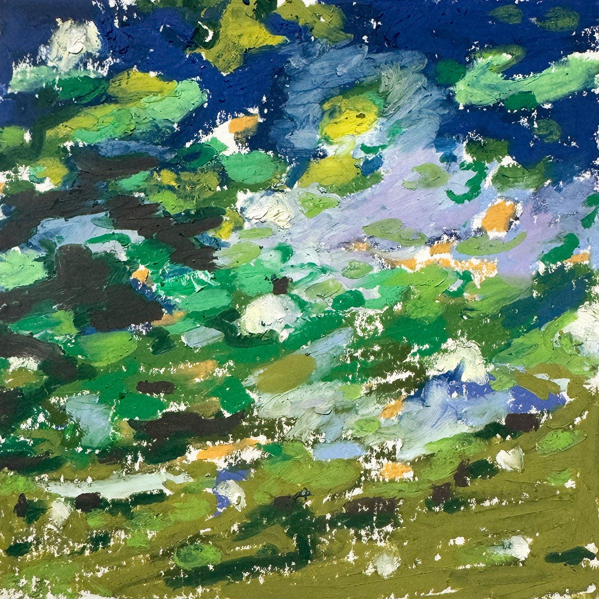 Pond Study-OP