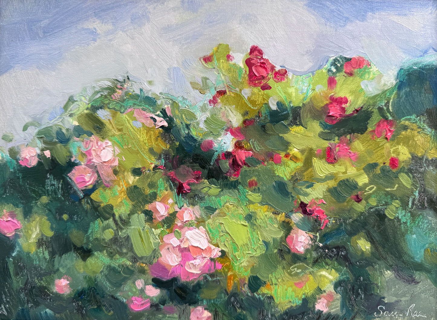 Landscape Cards