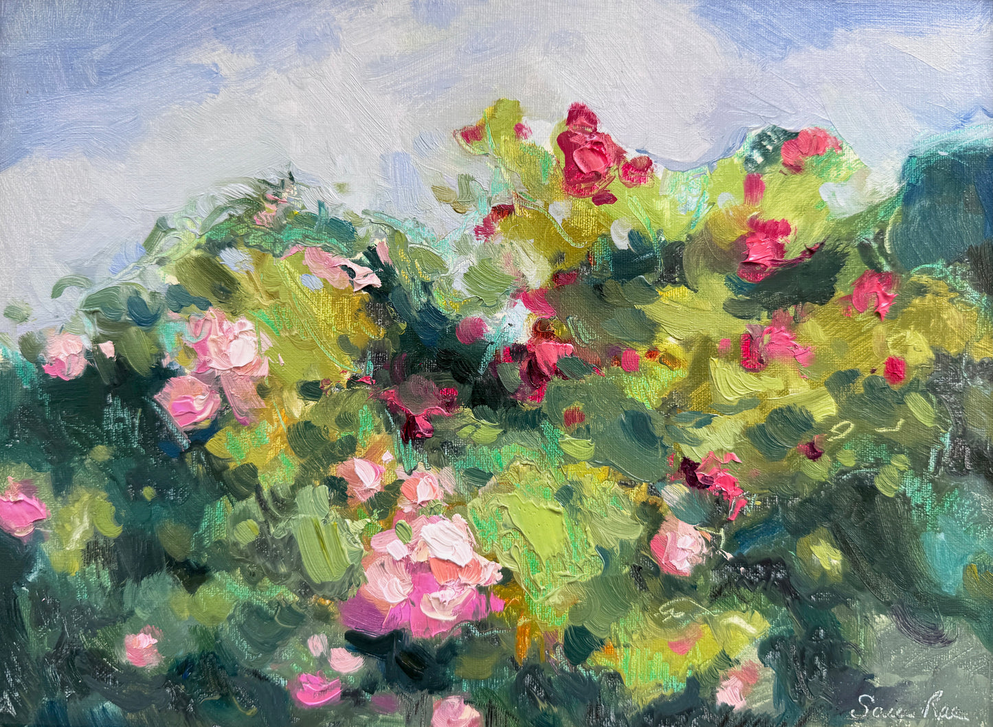 Roses at the Fells