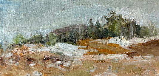 Spring Teaser |2026| oil