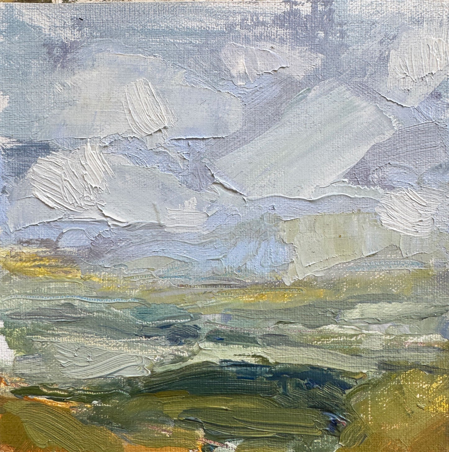 Study #13