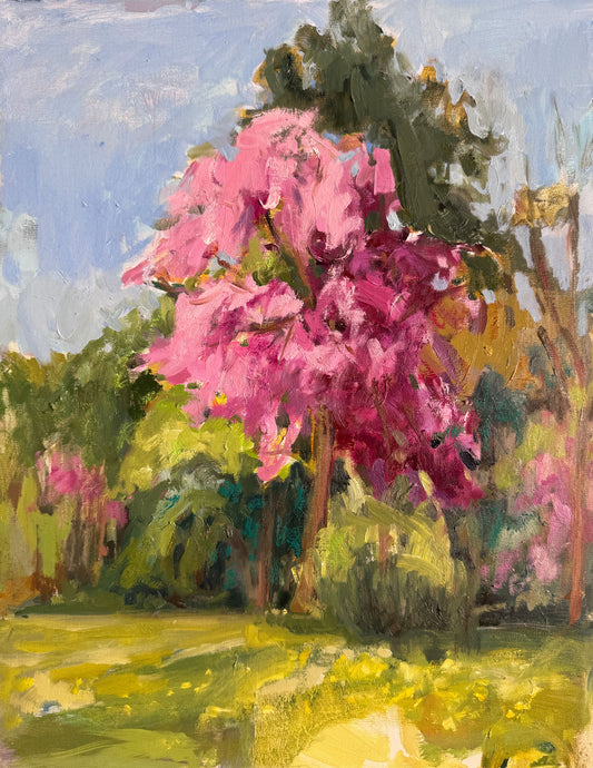 The Color of Spring